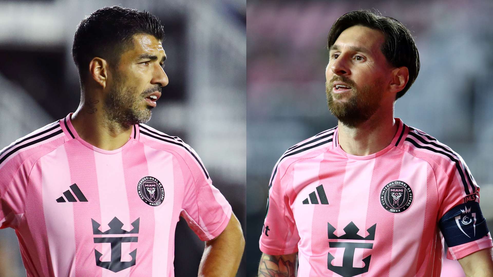 不仅增添了 不仅增添了